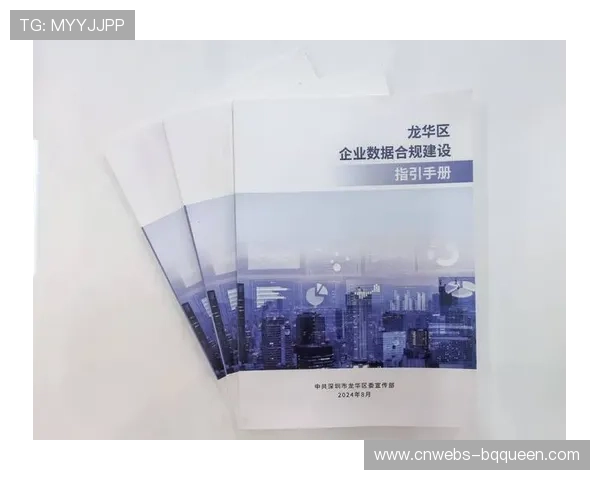 监管机构完善数据合规框架 引导行业有序发展