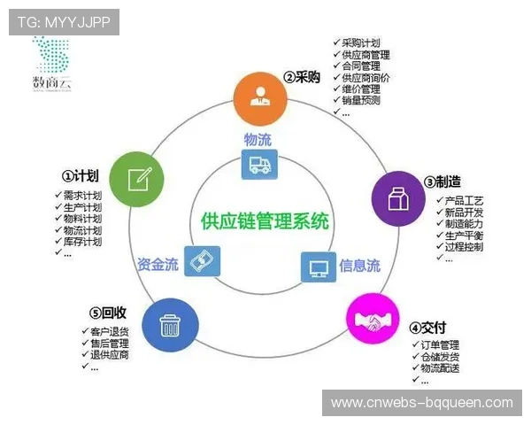 制作流程标准化进程加快，推动行业协作效率提升